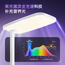 促销活动