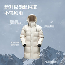 促销活动