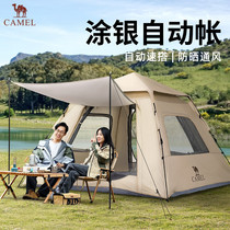 促销活动
