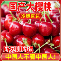 促销活动