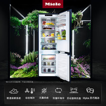 促销活动