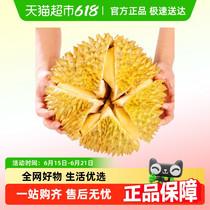 促销活动
